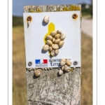 Promeneurs le long du chenal de la Somme au Cap Hornu