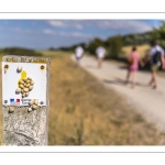 Promeneurs le long du chenal de la Somme au Cap Hornu