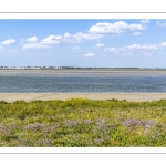 Le long du chenal de la Somme au Cap Hornu