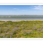 Le long du chenal de la Somme au Cap Hornu