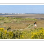 Promeneurs devant les mollières du Hourdel