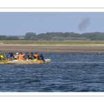 Pirogue Polynésienne (Va'a) dans le chenal de la Somme