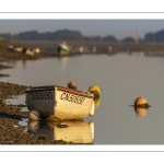 Barque dans le chenal de la Somme