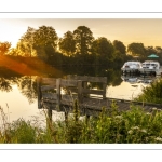 Bateaux de plaisance amarrés le long du canal de la Somme