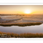 Les renclôtures de la baie de Somme couvertes de givre au petit matin (vue aérienne)