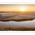 Les renclôtures de la baie de Somme couvertes de givre au petit matin (vue aérienne)