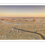 Les renclôtures de la baie de Somme couvertes de givre au petit matin (vue aérienne)