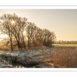 Les renclôtures de la baie de Somme couvertes de givre au petit matin (vue aérienne)