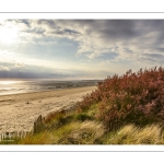 Le plage du Crotoy un soir de printemps