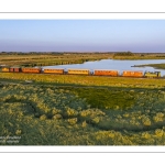 soirée "dîner à bord" pour le petit train