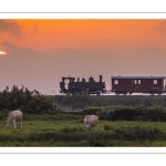 Le petit train de la baie de Somme