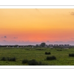 Le petit train de la baie de Somme