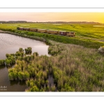 Le petit train de la baie de Somme