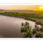 Le petit train de la baie de Somme