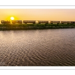 Le petit train de la baie de Somme