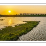 Le petit train de la baie de Somme