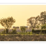 Le petit train de la baie de Somme