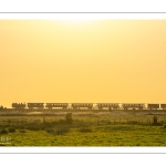 Le petit train de la baie de Somme