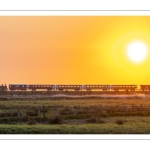 Le petit train de la baie de Somme