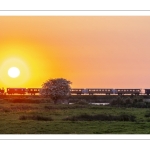 Le petit train de la baie de Somme