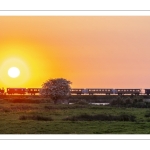 Le petit train de la baie de Somme