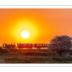 Le petit train de la baie de Somme