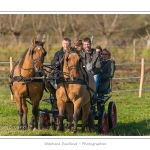 Chaque annÃ©e Ã  l'automne, une grande manifestation est organisÃ©e autour du cheval Henson, race crÃ©Ã©e en Baie de Somme. Les cavaliers de la rÃ©gion viennent et emÃ¨nent le troupeau de juments et de poulains depuis le parc du Marquenterre jusqu'Ã  Saint-Quentin-en-Tourmont oÃ¹ juments et poulains seront sÃ©parÃ©s. Saison : Automne - Lieu : Saint-Quentin-en-Tourmont, Baie de Somme, Somme, Picardie, France