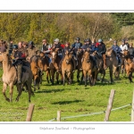 Chaque annÃ©e Ã  l'automne, une grande manifestation est organisÃ©e autour du cheval Henson, race crÃ©Ã©e en Baie de Somme. Les cavaliers de la rÃ©gion viennent et emÃ¨nent le troupeau de juments et de poulains depuis le parc du Marquenterre jusqu'Ã  Saint-Quentin-en-Tourmont oÃ¹ juments et poulains seront sÃ©parÃ©s. Saison : Automne - Lieu : Saint-Quentin-en-Tourmont, Baie de Somme, Somme, Picardie, France