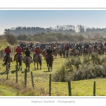 Chaque annÃ©e Ã  l'automne, une grande manifestation est organisÃ©e autour du cheval Henson, race crÃ©Ã©e en Baie de Somme. Les cavaliers de la rÃ©gion viennent et emÃ¨nent le troupeau de juments et de poulains depuis le parc du Marquenterre jusqu'Ã  Saint-Quentin-en-Tourmont oÃ¹ juments et poulains seront sÃ©parÃ©s. Saison : Automne - Lieu : Saint-Quentin-en-Tourmont, Baie de Somme, Somme, Picardie, France
