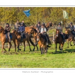 Chaque annÃ©e Ã  l'automne, une grande manifestation est organisÃ©e autour du cheval Henson, race crÃ©Ã©e en Baie de Somme. Les cavaliers de la rÃ©gion viennent et emÃ¨nent le troupeau de juments et de poulains depuis le parc du Marquenterre jusqu'Ã  Saint-Quentin-en-Tourmont oÃ¹ juments et poulains seront sÃ©parÃ©s. Saison : Automne - Lieu : Saint-Quentin-en-Tourmont, Baie de Somme, Somme, Picardie, France