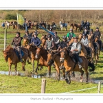 Chaque annÃ©e Ã  l'automne, une grande manifestation est organisÃ©e autour du cheval Henson, race crÃ©Ã©e en Baie de Somme. Les cavaliers de la rÃ©gion viennent et emÃ¨nent le troupeau de juments et de poulains depuis le parc du Marquenterre jusqu'Ã  Saint-Quentin-en-Tourmont oÃ¹ juments et poulains seront sÃ©parÃ©s. Saison : Automne - Lieu : Saint-Quentin-en-Tourmont, Baie de Somme, Somme, Picardie, France