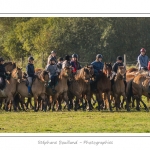 Chaque annÃ©e Ã  l'automne, une grande manifestation est organisÃ©e autour du cheval Henson, race crÃ©Ã©e en Baie de Somme. Les cavaliers de la rÃ©gion viennent et emÃ¨nent le troupeau de juments et de poulains depuis le parc du Marquenterre jusqu'Ã  Saint-Quentin-en-Tourmont oÃ¹ juments et poulains seront sÃ©parÃ©s. Saison : Automne - Lieu : Saint-Quentin-en-Tourmont, Baie de Somme, Somme, Picardie, France