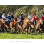 Chaque annÃ©e Ã  l'automne, une grande manifestation est organisÃ©e autour du cheval Henson, race crÃ©Ã©e en Baie de Somme. Les cavaliers de la rÃ©gion viennent et emÃ¨nent le troupeau de juments et de poulains depuis le parc du Marquenterre jusqu'Ã  Saint-Quentin-en-Tourmont oÃ¹ juments et poulains seront sÃ©parÃ©s. Saison : Automne - Lieu : Saint-Quentin-en-Tourmont, Baie de Somme, Somme, Picardie, France