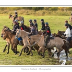 Chaque annÃ©e Ã  l'automne, une grande manifestation est organisÃ©e autour du cheval Henson, race crÃ©Ã©e en Baie de Somme. Les cavaliers de la rÃ©gion viennent et emÃ¨nent le troupeau de juments et de poulains depuis le parc du Marquenterre jusqu'Ã  Saint-Quentin-en-Tourmont oÃ¹ juments et poulains seront sÃ©parÃ©s. Saison : Automne - Lieu : Saint-Quentin-en-Tourmont, Baie de Somme, Somme, Picardie, France