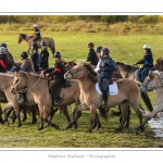 Chaque annÃ©e Ã  l'automne, une grande manifestation est organisÃ©e autour du cheval Henson, race crÃ©Ã©e en Baie de Somme. Les cavaliers de la rÃ©gion viennent et emÃ¨nent le troupeau de juments et de poulains depuis le parc du Marquenterre jusqu'Ã  Saint-Quentin-en-Tourmont oÃ¹ juments et poulains seront sÃ©parÃ©s. Saison : Automne - Lieu : Saint-Quentin-en-Tourmont, Baie de Somme, Somme, Picardie, France