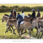 Chaque annÃ©e Ã  l'automne, une grande manifestation est organisÃ©e autour du cheval Henson, race crÃ©Ã©e en Baie de Somme. Les cavaliers de la rÃ©gion viennent et emÃ¨nent le troupeau de juments et de poulains depuis le parc du Marquenterre jusqu'Ã  Saint-Quentin-en-Tourmont oÃ¹ juments et poulains seront sÃ©parÃ©s. Saison : Automne - Lieu : Saint-Quentin-en-Tourmont, Baie de Somme, Somme, Picardie, France