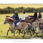 Chaque annÃ©e Ã  l'automne, une grande manifestation est organisÃ©e autour du cheval Henson, race crÃ©Ã©e en Baie de Somme. Les cavaliers de la rÃ©gion viennent et emÃ¨nent le troupeau de juments et de poulains depuis le parc du Marquenterre jusqu'Ã  Saint-Quentin-en-Tourmont oÃ¹ juments et poulains seront sÃ©parÃ©s. Saison : Automne - Lieu : Saint-Quentin-en-Tourmont, Baie de Somme, Somme, Picardie, France