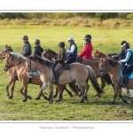 Chaque annÃ©e Ã  l'automne, une grande manifestation est organisÃ©e autour du cheval Henson, race crÃ©Ã©e en Baie de Somme. Les cavaliers de la rÃ©gion viennent et emÃ¨nent le troupeau de juments et de poulains depuis le parc du Marquenterre jusqu'Ã  Saint-Quentin-en-Tourmont oÃ¹ juments et poulains seront sÃ©parÃ©s. Saison : Automne - Lieu : Saint-Quentin-en-Tourmont, Baie de Somme, Somme, Picardie, France