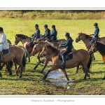 Chaque annÃ©e Ã  l'automne, une grande manifestation est organisÃ©e autour du cheval Henson, race crÃ©Ã©e en Baie de Somme. Les cavaliers de la rÃ©gion viennent et emÃ¨nent le troupeau de juments et de poulains depuis le parc du Marquenterre jusqu'Ã  Saint-Quentin-en-Tourmont oÃ¹ juments et poulains seront sÃ©parÃ©s. Saison : Automne - Lieu : Saint-Quentin-en-Tourmont, Baie de Somme, Somme, Picardie, France