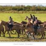 Chaque annÃ©e Ã  l'automne, une grande manifestation est organisÃ©e autour du cheval Henson, race crÃ©Ã©e en Baie de Somme. Les cavaliers de la rÃ©gion viennent et emÃ¨nent le troupeau de juments et de poulains depuis le parc du Marquenterre jusqu'Ã  Saint-Quentin-en-Tourmont oÃ¹ juments et poulains seront sÃ©parÃ©s. Saison : Automne - Lieu : Saint-Quentin-en-Tourmont, Baie de Somme, Somme, Picardie, France