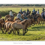 Chaque annÃ©e Ã  l'automne, une grande manifestation est organisÃ©e autour du cheval Henson, race crÃ©Ã©e en Baie de Somme. Les cavaliers de la rÃ©gion viennent et emÃ¨nent le troupeau de juments et de poulains depuis le parc du Marquenterre jusqu'Ã  Saint-Quentin-en-Tourmont oÃ¹ juments et poulains seront sÃ©parÃ©s. Saison : Automne - Lieu : Saint-Quentin-en-Tourmont, Baie de Somme, Somme, Picardie, France