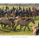 Chaque annÃ©e Ã  l'automne, une grande manifestation est organisÃ©e autour du cheval Henson, race crÃ©Ã©e en Baie de Somme. Les cavaliers de la rÃ©gion viennent et emÃ¨nent le troupeau de juments et de poulains depuis le parc du Marquenterre jusqu'Ã  Saint-Quentin-en-Tourmont oÃ¹ juments et poulains seront sÃ©parÃ©s. Saison : Automne - Lieu : Saint-Quentin-en-Tourmont, Baie de Somme, Somme, Picardie, France