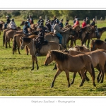 Chaque annÃ©e Ã  l'automne, une grande manifestation est organisÃ©e autour du cheval Henson, race crÃ©Ã©e en Baie de Somme. Les cavaliers de la rÃ©gion viennent et emÃ¨nent le troupeau de juments et de poulains depuis le parc du Marquenterre jusqu'Ã  Saint-Quentin-en-Tourmont oÃ¹ juments et poulains seront sÃ©parÃ©s. Saison : Automne - Lieu : Saint-Quentin-en-Tourmont, Baie de Somme, Somme, Picardie, France