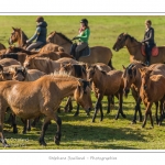 Chaque annÃ©e Ã  l'automne, une grande manifestation est organisÃ©e autour du cheval Henson, race crÃ©Ã©e en Baie de Somme. Les cavaliers de la rÃ©gion viennent et emÃ¨nent le troupeau de juments et de poulains depuis le parc du Marquenterre jusqu'Ã  Saint-Quentin-en-Tourmont oÃ¹ juments et poulains seront sÃ©parÃ©s. Saison : Automne - Lieu : Saint-Quentin-en-Tourmont, Baie de Somme, Somme, Picardie, France