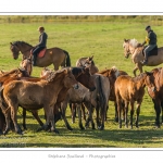 Chaque annÃ©e Ã  l'automne, une grande manifestation est organisÃ©e autour du cheval Henson, race crÃ©Ã©e en Baie de Somme. Les cavaliers de la rÃ©gion viennent et emÃ¨nent le troupeau de juments et de poulains depuis le parc du Marquenterre jusqu'Ã  Saint-Quentin-en-Tourmont oÃ¹ juments et poulains seront sÃ©parÃ©s. Saison : Automne - Lieu : Saint-Quentin-en-Tourmont, Baie de Somme, Somme, Picardie, France