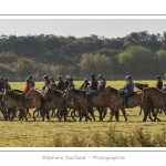 Chaque annÃ©e Ã  l'automne, une grande manifestation est organisÃ©e autour du cheval Henson, race crÃ©Ã©e en Baie de Somme. Les cavaliers de la rÃ©gion viennent et emÃ¨nent le troupeau de juments et de poulains depuis le parc du Marquenterre jusqu'Ã  Saint-Quentin-en-Tourmont oÃ¹ juments et poulains seront sÃ©parÃ©s. Saison : Automne - Lieu : Saint-Quentin-en-Tourmont, Baie de Somme, Somme, Picardie, France