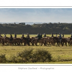 Chaque annÃ©e Ã  l'automne, une grande manifestation est organisÃ©e autour du cheval Henson, race crÃ©Ã©e en Baie de Somme. Les cavaliers de la rÃ©gion viennent et emÃ¨nent le troupeau de juments et de poulains depuis le parc du Marquenterre jusqu'Ã  Saint-Quentin-en-Tourmont oÃ¹ juments et poulains seront sÃ©parÃ©s. Saison : Automne - Lieu : Saint-Quentin-en-Tourmont, Baie de Somme, Somme, Picardie, France