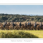 Chaque annÃ©e Ã  l'automne, une grande manifestation est organisÃ©e autour du cheval Henson, race crÃ©Ã©e en Baie de Somme. Les cavaliers de la rÃ©gion viennent et emÃ¨nent le troupeau de juments et de poulains depuis le parc du Marquenterre jusqu'Ã  Saint-Quentin-en-Tourmont oÃ¹ juments et poulains seront sÃ©parÃ©s. Saison : Automne - Lieu : Saint-Quentin-en-Tourmont, Baie de Somme, Somme, Picardie, France