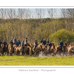 Chaque annÃ©e Ã  l'automne, une grande manifestation est organisÃ©e autour du cheval Henson, race crÃ©Ã©e en Baie de Somme. Les cavaliers de la rÃ©gion viennent et emÃ¨nent le troupeau de juments et de poulains depuis le parc du Marquenterre jusqu'Ã  Saint-Quentin-en-Tourmont oÃ¹ juments et poulains seront sÃ©parÃ©s. Saison : Automne - Lieu : Saint-Quentin-en-Tourmont, Baie de Somme, Somme, Picardie, France