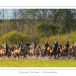 Chaque annÃ©e Ã  l'automne, une grande manifestation est organisÃ©e autour du cheval Henson, race crÃ©Ã©e en Baie de Somme. Les cavaliers de la rÃ©gion viennent et emÃ¨nent le troupeau de juments et de poulains depuis le parc du Marquenterre jusqu'Ã  Saint-Quentin-en-Tourmont oÃ¹ juments et poulains seront sÃ©parÃ©s. Saison : Automne - Lieu : Saint-Quentin-en-Tourmont, Baie de Somme, Somme, Picardie, France